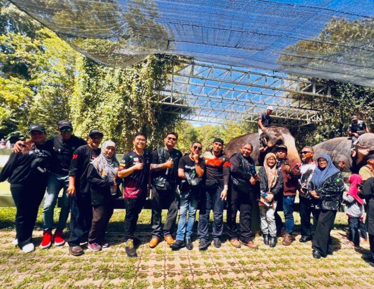 Kuala Gandah Elephant